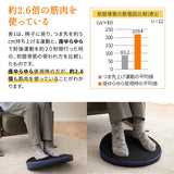 【座ゆらゆら】 バランスボード バランスディスク エクササイズマシン 健康器具 座ったまま トレーニング ストレッチ フィットネス ながら運動 ロコモ対策