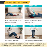 【座ゆらゆら】 バランスボード バランスディスク エクササイズマシン 健康器具 座ったまま トレーニング ストレッチ フィットネス ながら運動 ロコモ対策