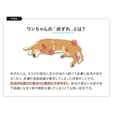 【ワンコnowa掲載】 介護用マット Lサイズ 小型犬 中型犬 シニア 丸洗いOK 折りたたみ 床ずれ防止マット 介護用ベッド 老犬 高齢犬 犬用 ペット用 マットレス 寝たきり 介護用品 ペット用品