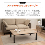 FALTE ファルテ こたつテーブル＋こたつ掛け布団 2点セット 幅120cm 長方形 ロータイプ 折りたたみ こたつ布団 やぐら テーブル 机
