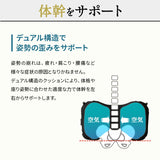 車椅子のクッションメーカーが作った腰クッション リクライニングチェア用 固定バンド付き バブルエアー調整 腰痛対策 医療 介護
