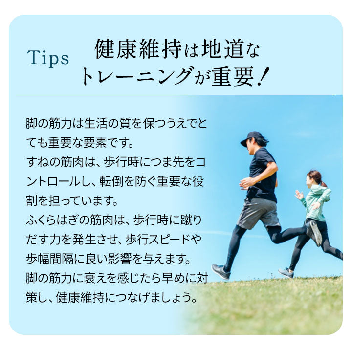 【座ペダル】 折りたたみ フィットネスバイク エクササイズバイク ペダル運動 エクササイズマシン 健康器具 座ったまま トレーニング フィットネス ながら運動 ロコモ対策