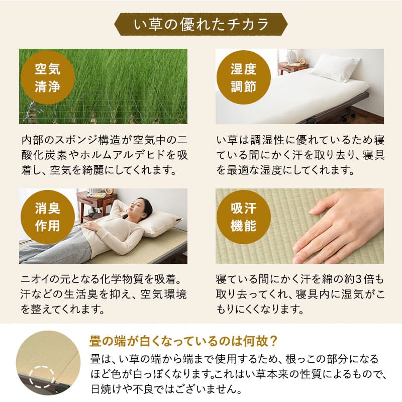 折りたたみベッド　組立不要 天然い草 畳ベッド 完成品 指はさみ防止パーツ付き キャスター付き