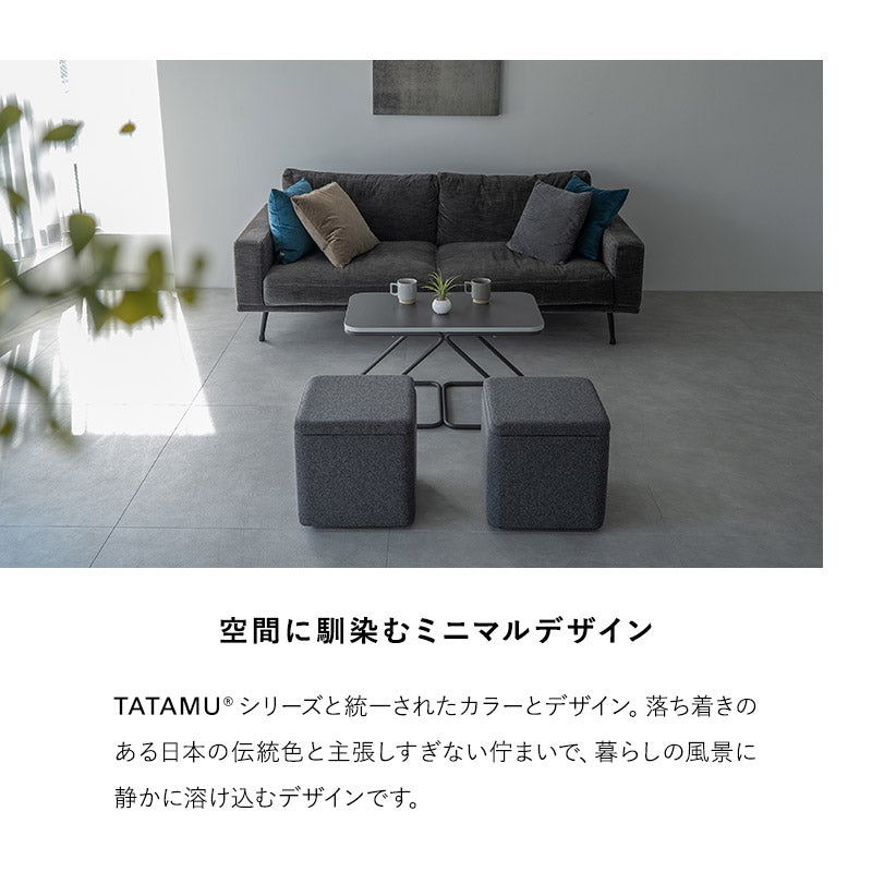 テーブルセット STINA スティナ 幅80cm 角型 完成品 テーブル スツール