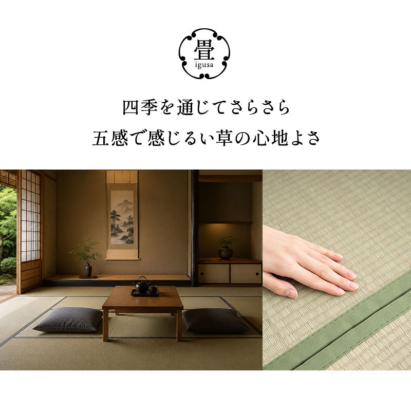 パレットベッド 畳マットレス 2点セット シングルサイズ 連結パーツ付き 分割式 すのこベッド ベッドフレーム ローベッド い草マットレス 折りたたみマットレス 天然木 天然い草 防カビ 消臭 空気洗浄 調湿 吸汗 組み換え自由